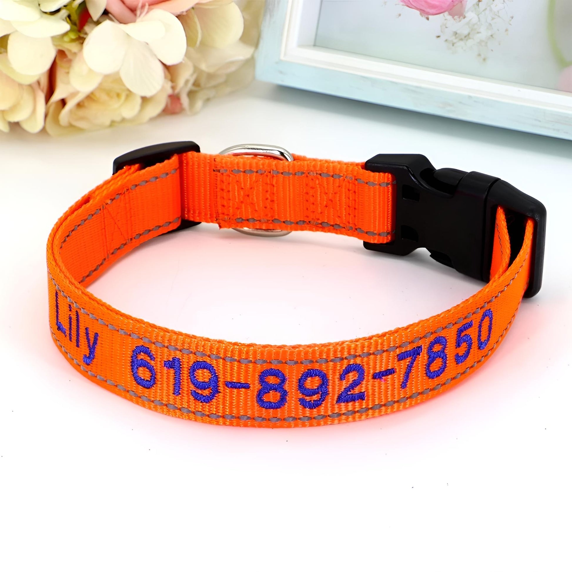 Reflective Nylon Dog ID Collar Orange