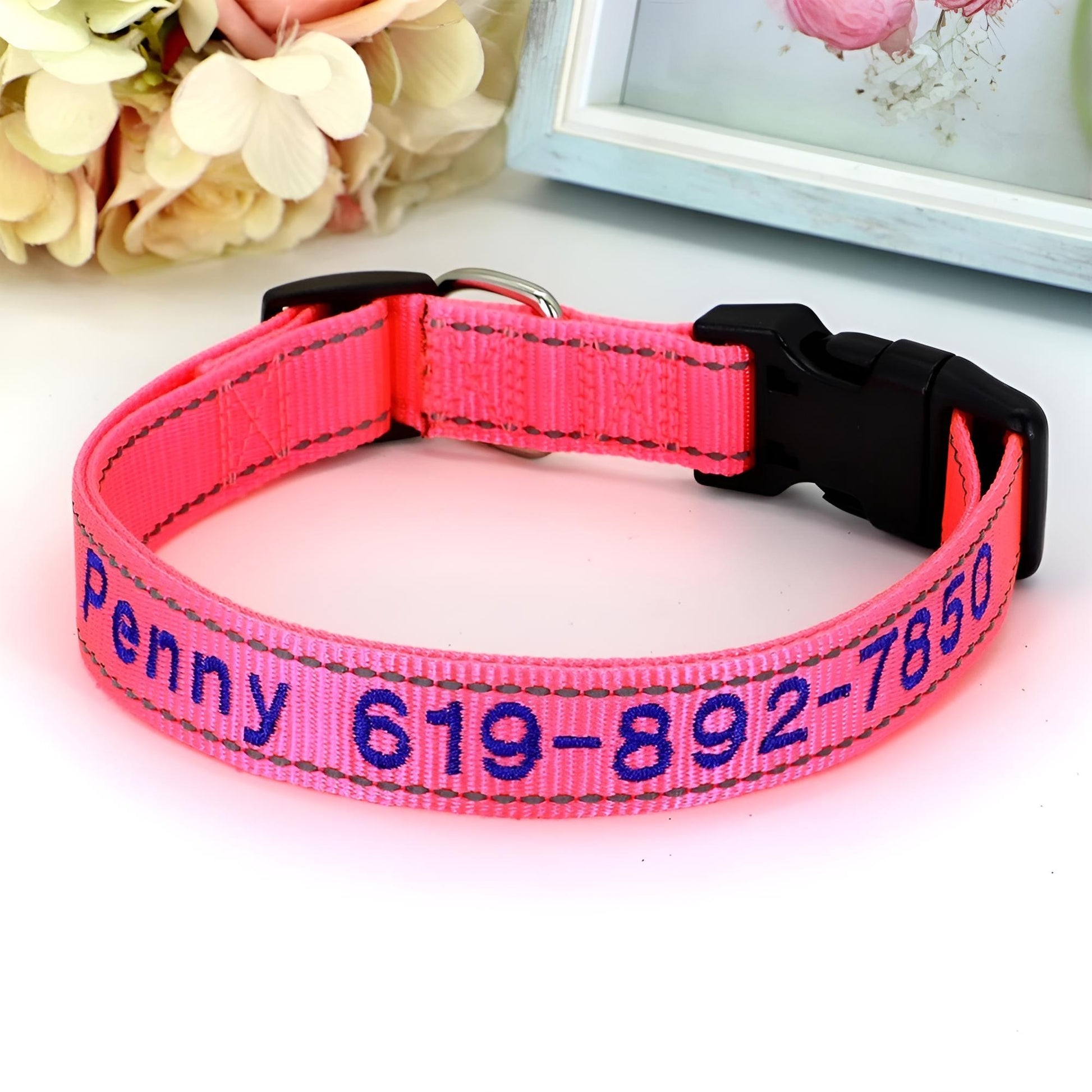 Reflective Nylon Dog ID Collar Pink