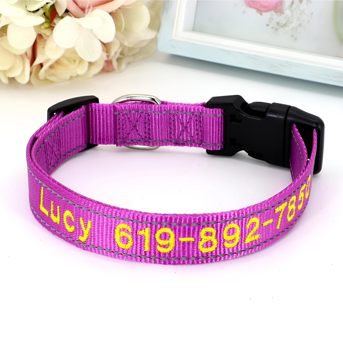 Reflective Nylon Dog ID Collar Purple