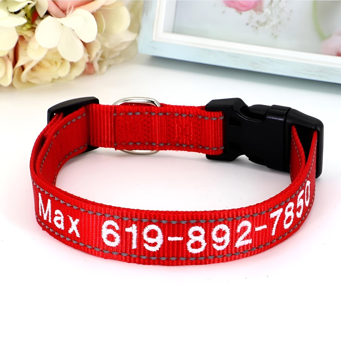 Reflective Nylon Dog ID Collar Red