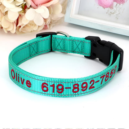 Reflective Nylon Dog ID Collar SGreen