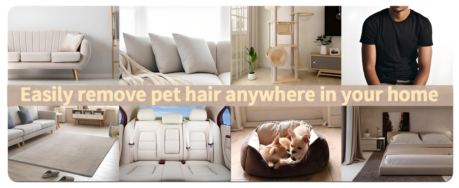 Remove Pet hair in home