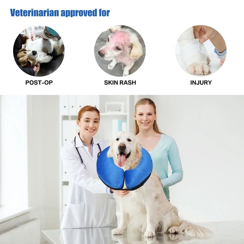  Soft Dog and cat Cone for Dogs After Surgery gaugau