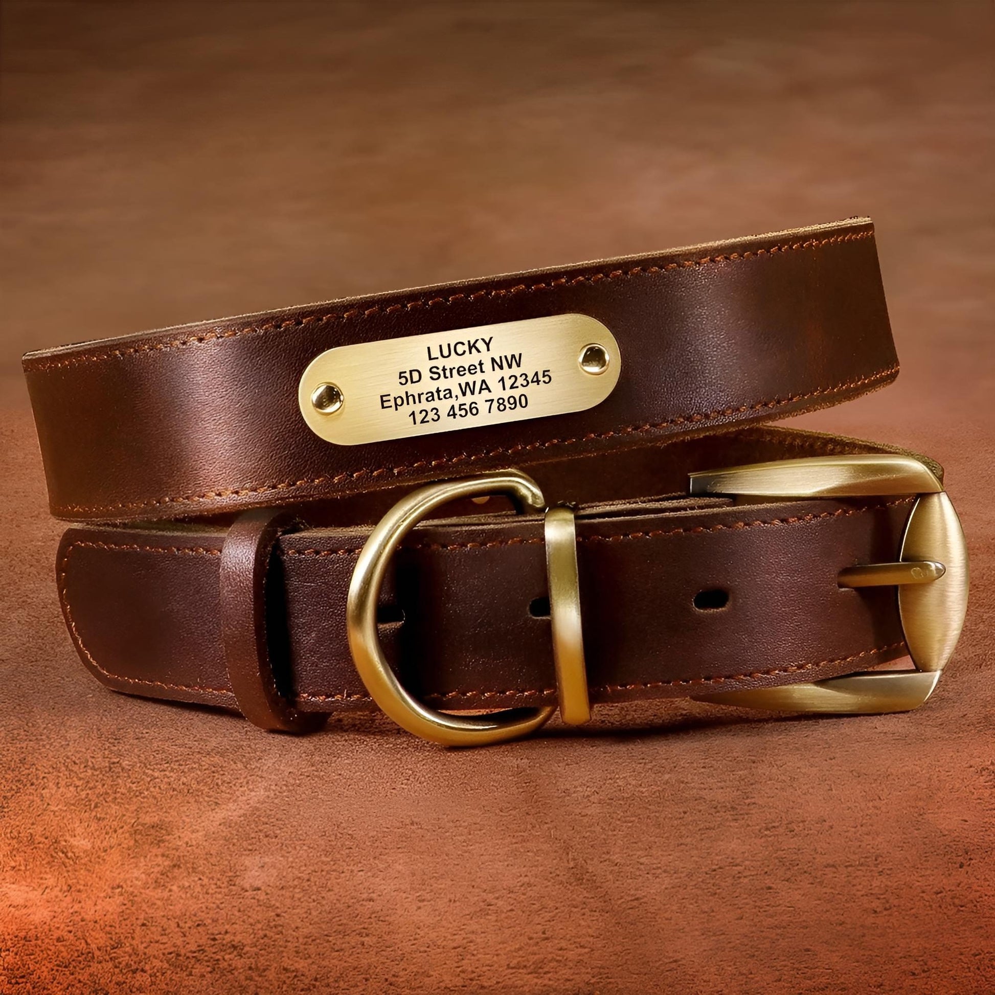 brown dog collar with name plate leather