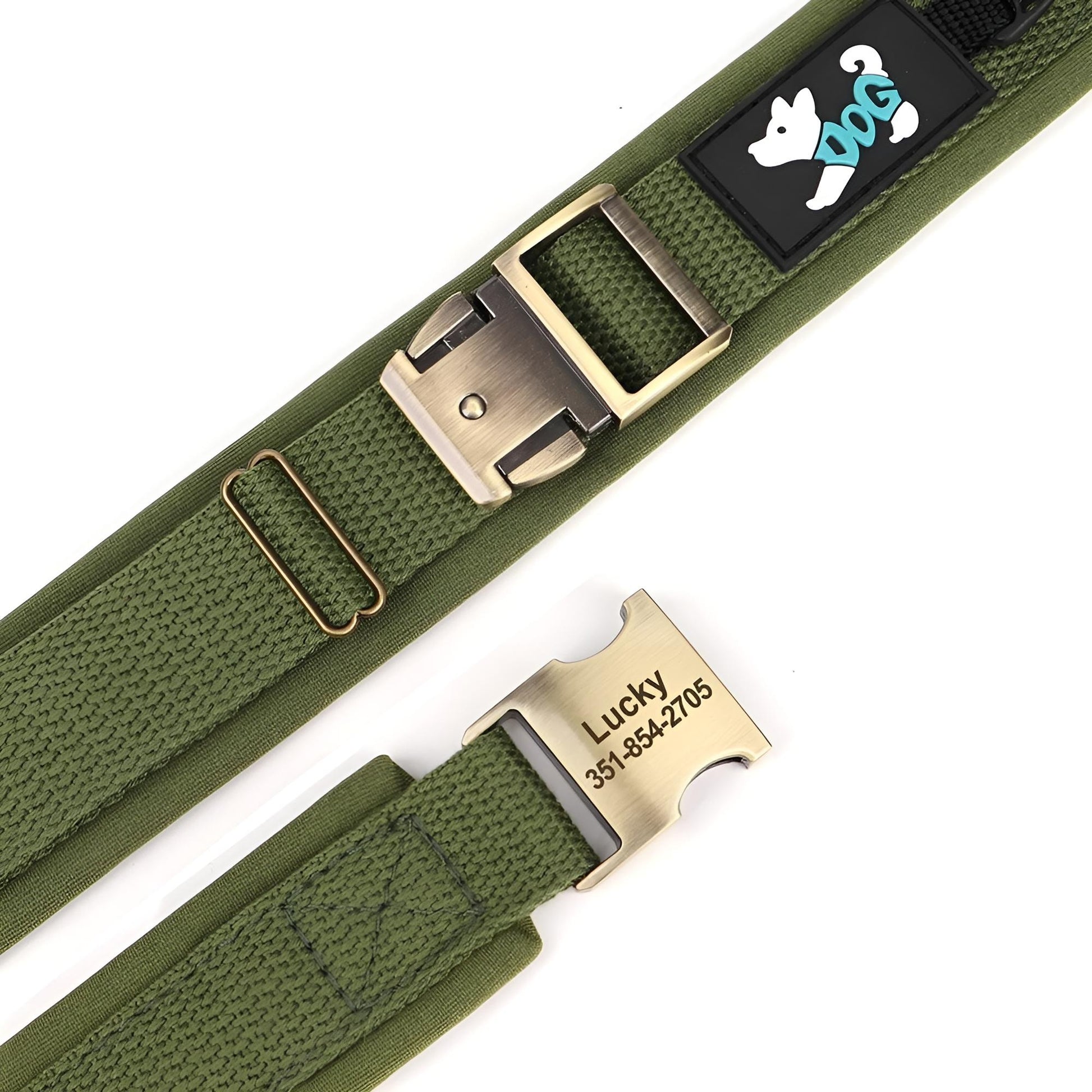 buckle and the namplate of the nylon dog collar with name