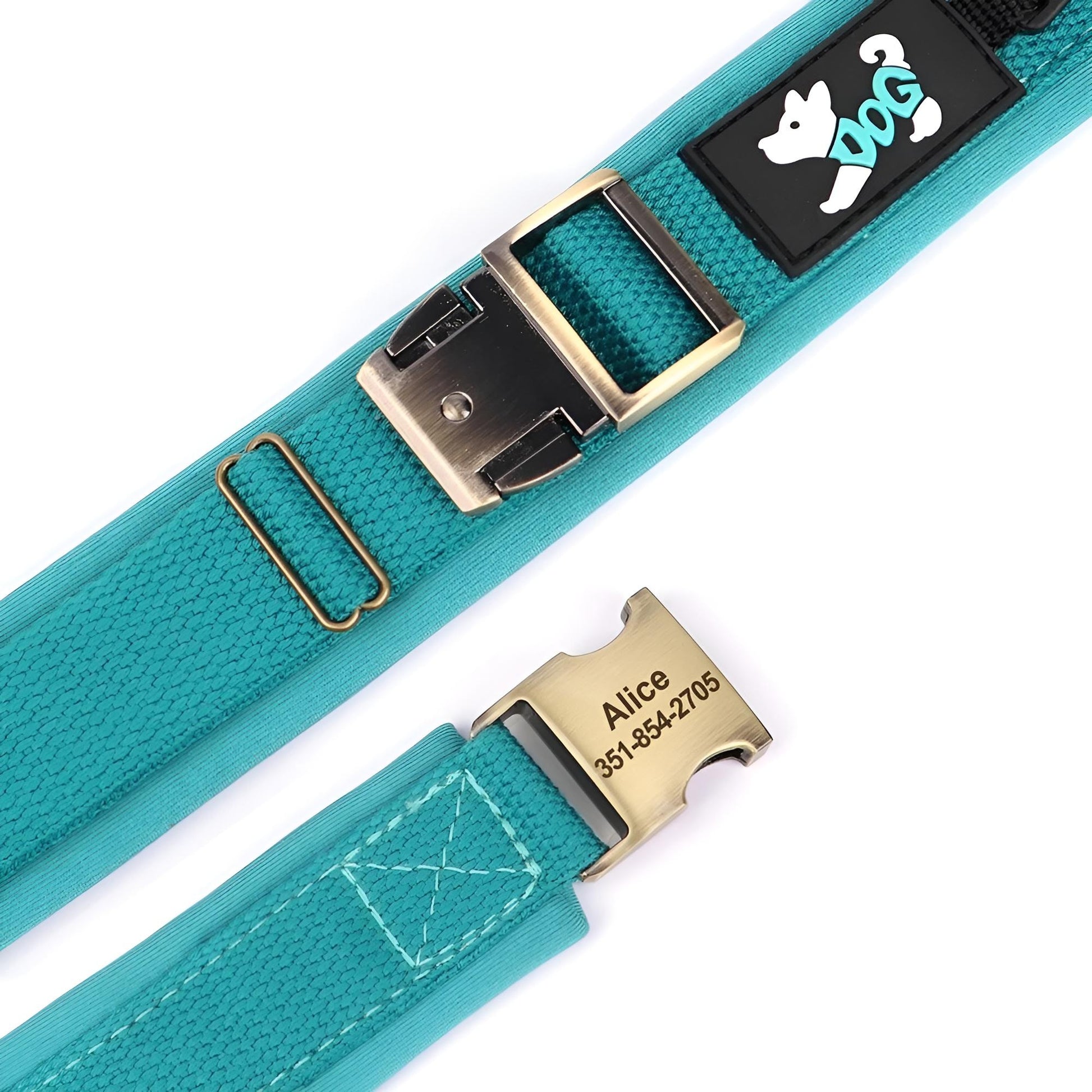 buckle and the namplate of the nylon dog collar with name blue
