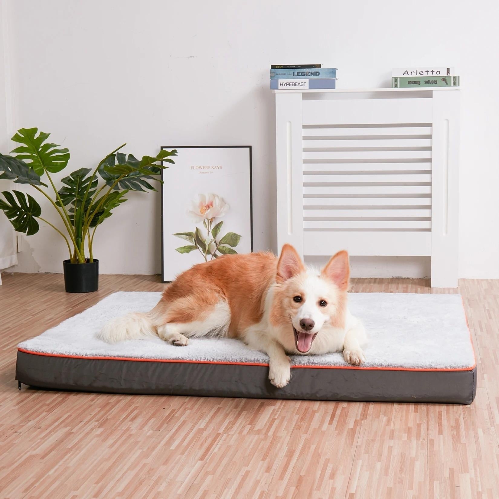 Rectangular Orthopedic Dog Bed for All Sizes - Gray