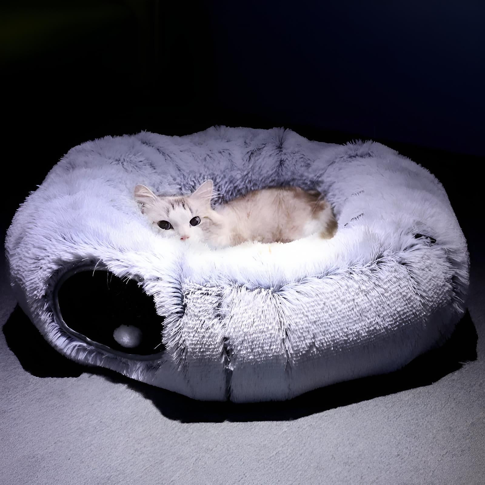 cat bed with tunnel