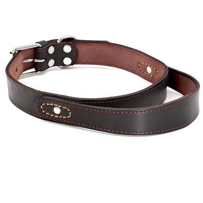 custom dog collars website