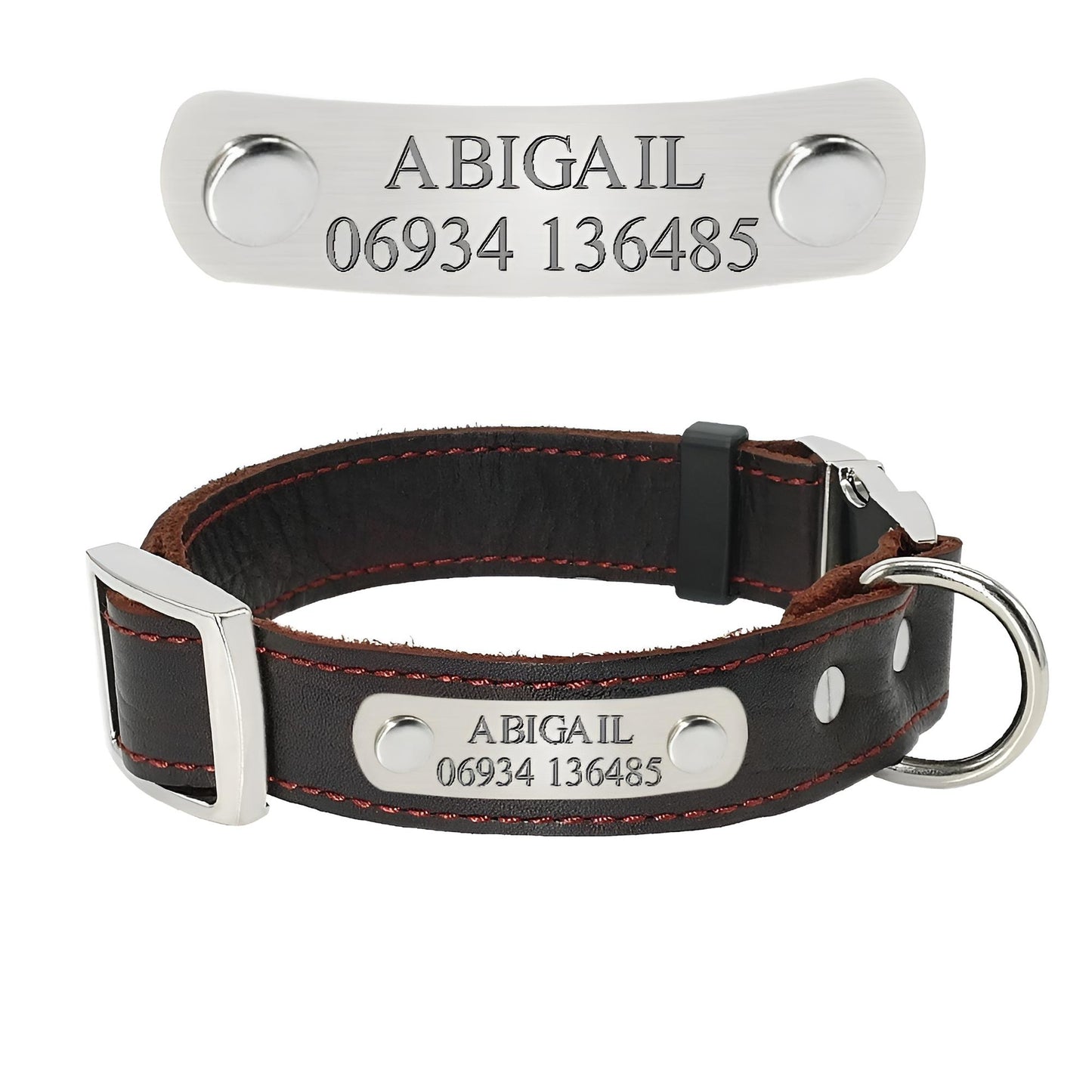 customized dog tags and collars