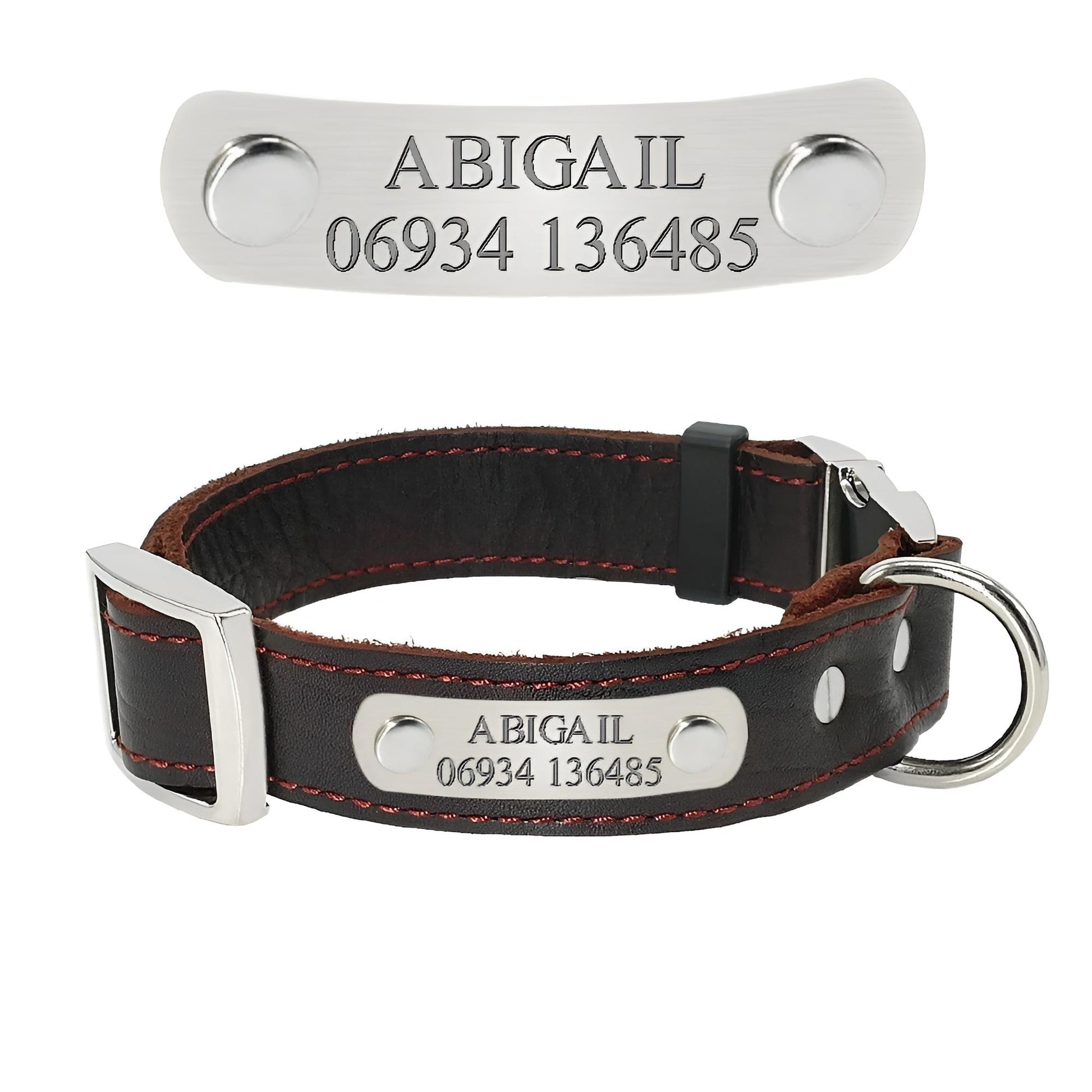 customized dog tags and collars
