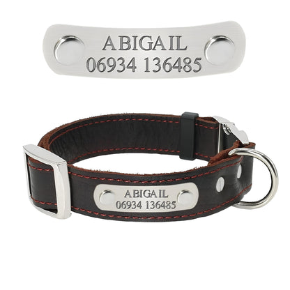 customized dog tags and collars