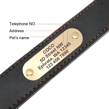 dog collar id