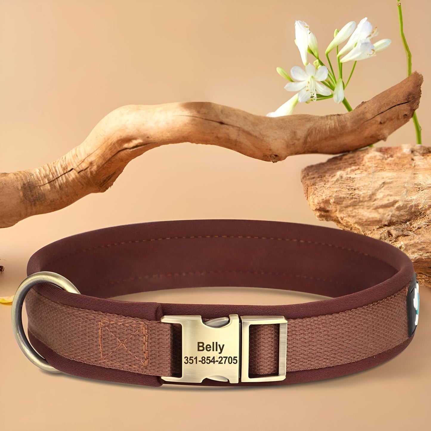 dog collar personalized nylon brown