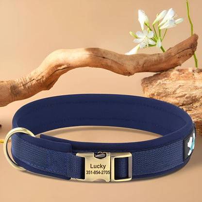 dog collar personalized nylon dblue