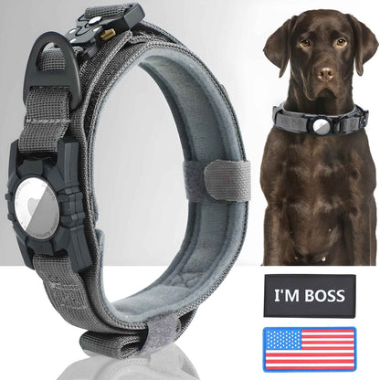 dog collar airtag holder grey
