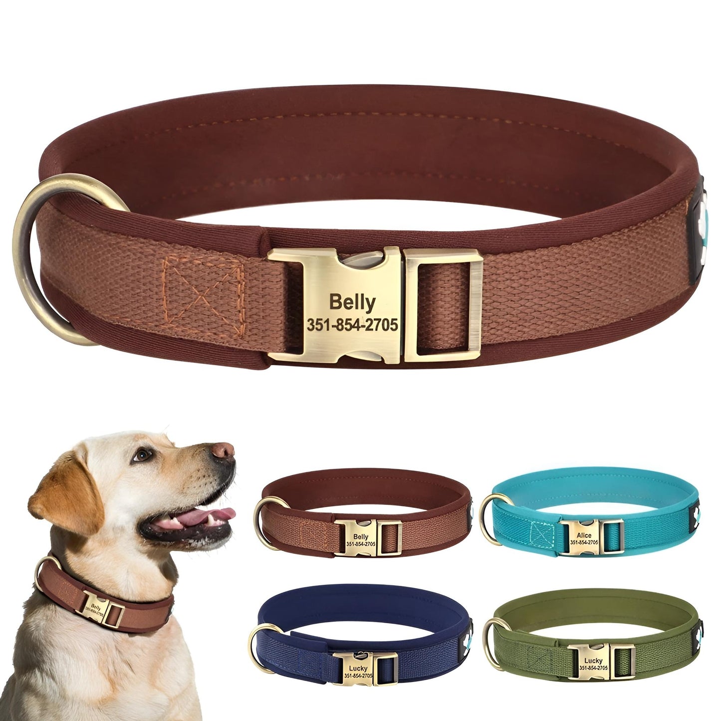 gaugau Nylon Dog collar with name all colors