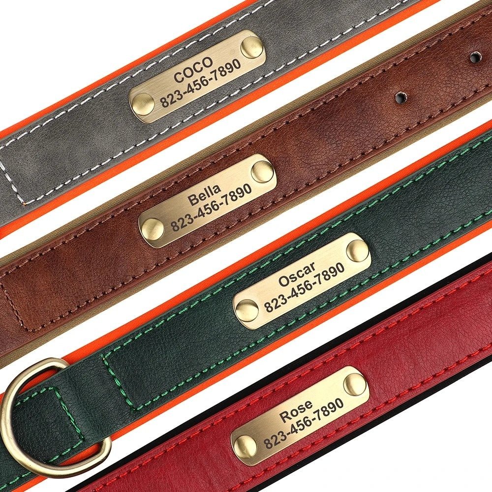 gaugau leather dog collar with name