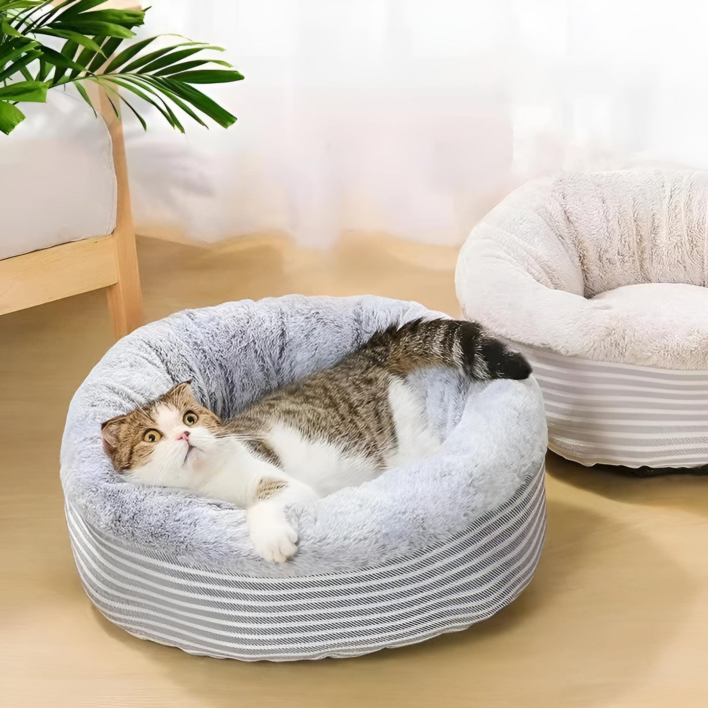 cat relaxing in a round fluffy cat bed