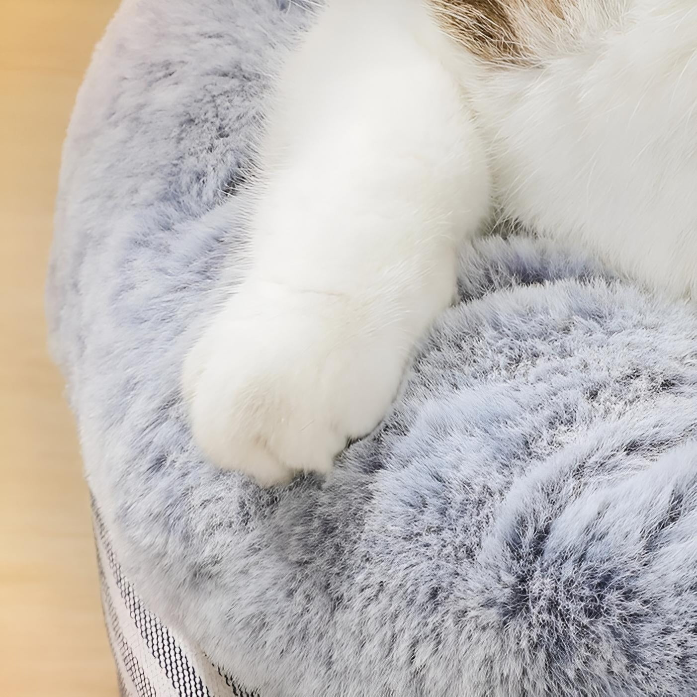 round soft cat beds for indoor