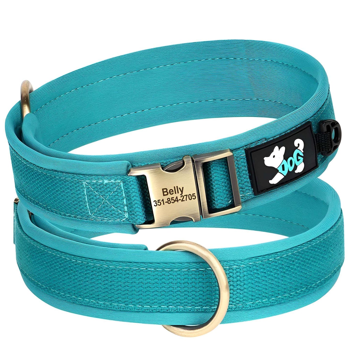 view 360 Nylon Dog collar with name blue