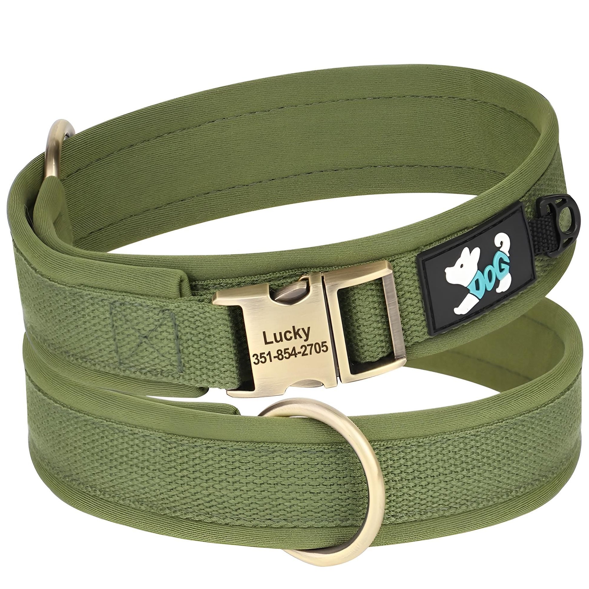 view 360 Nylon Dog collar with name green