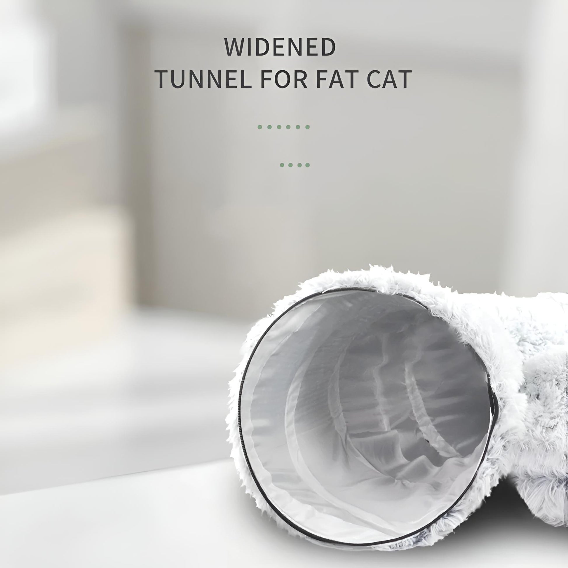 widened tunnel for cat