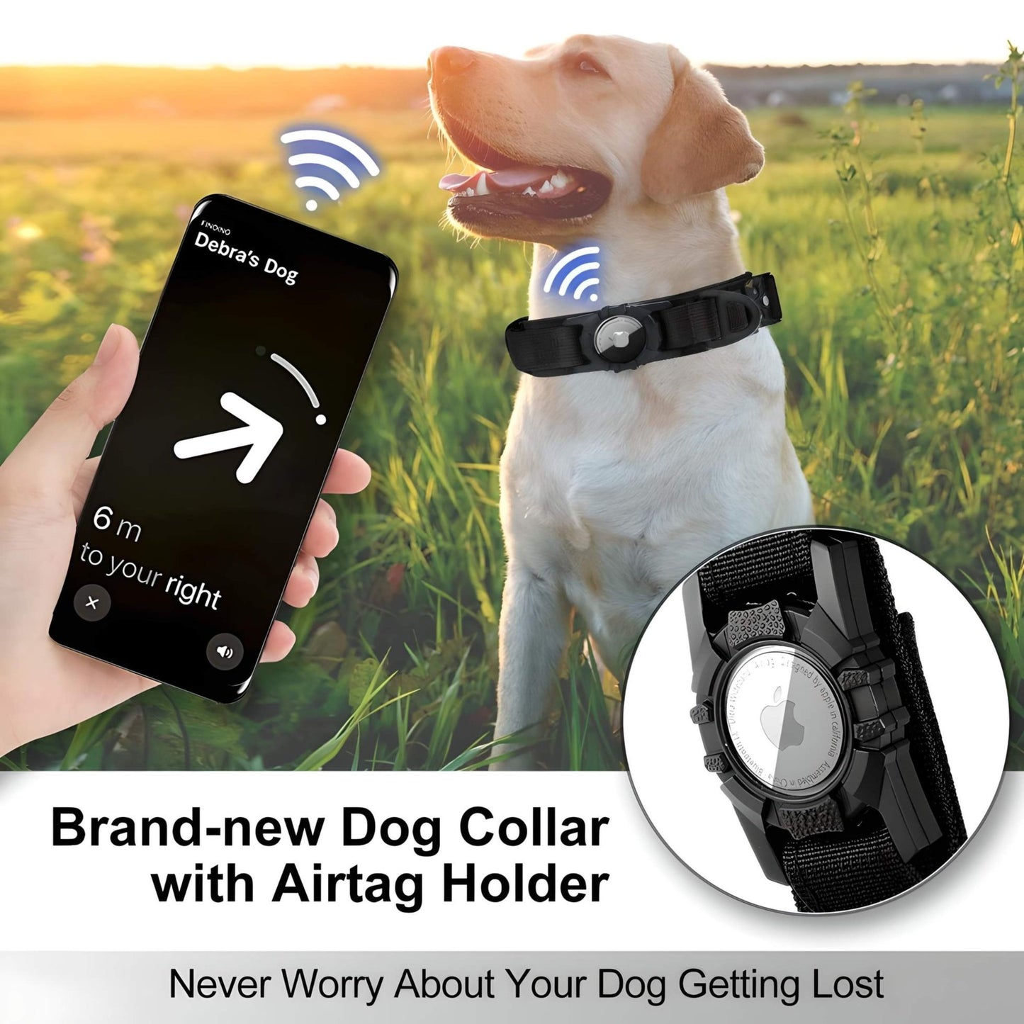 airtag collar dog