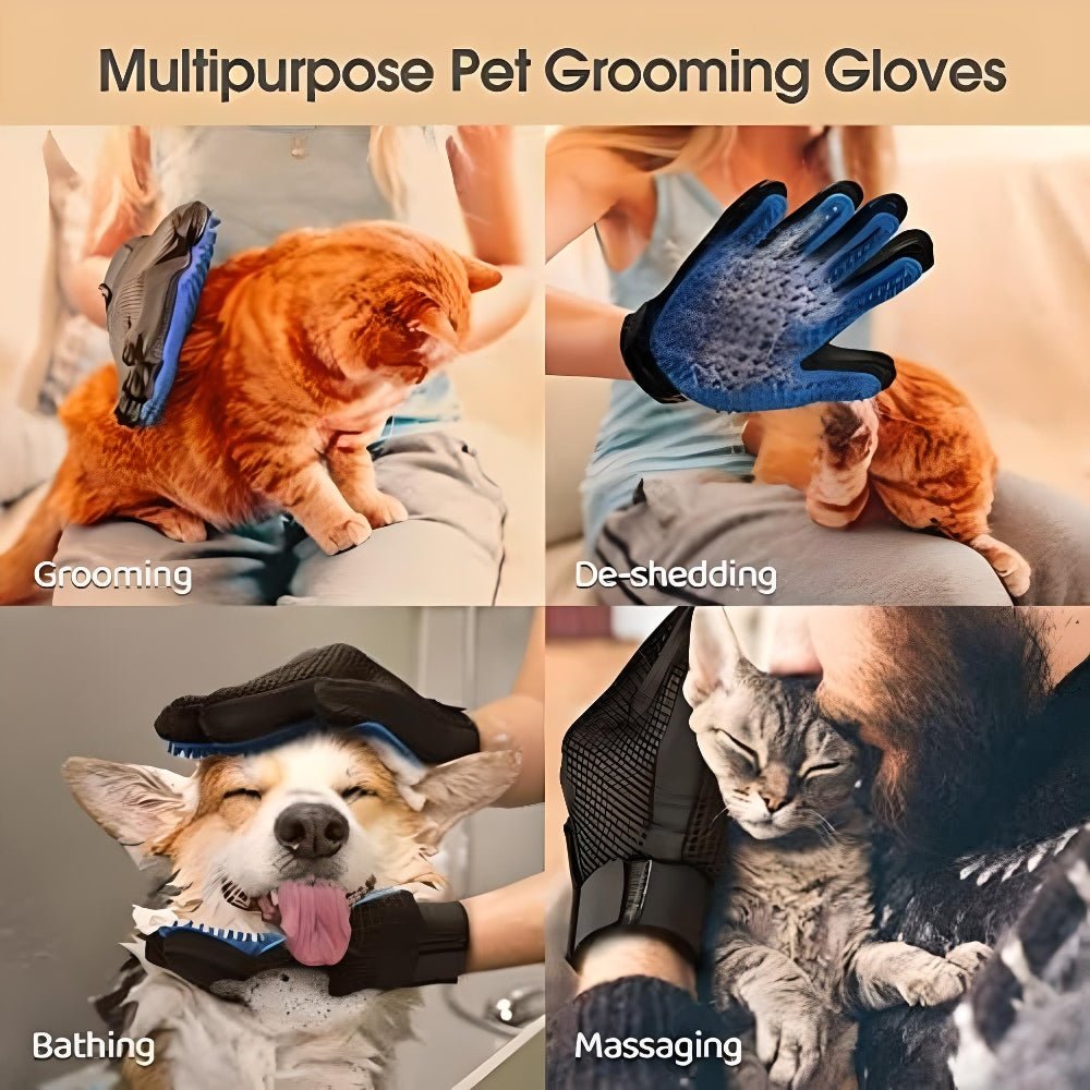 cat brush glove