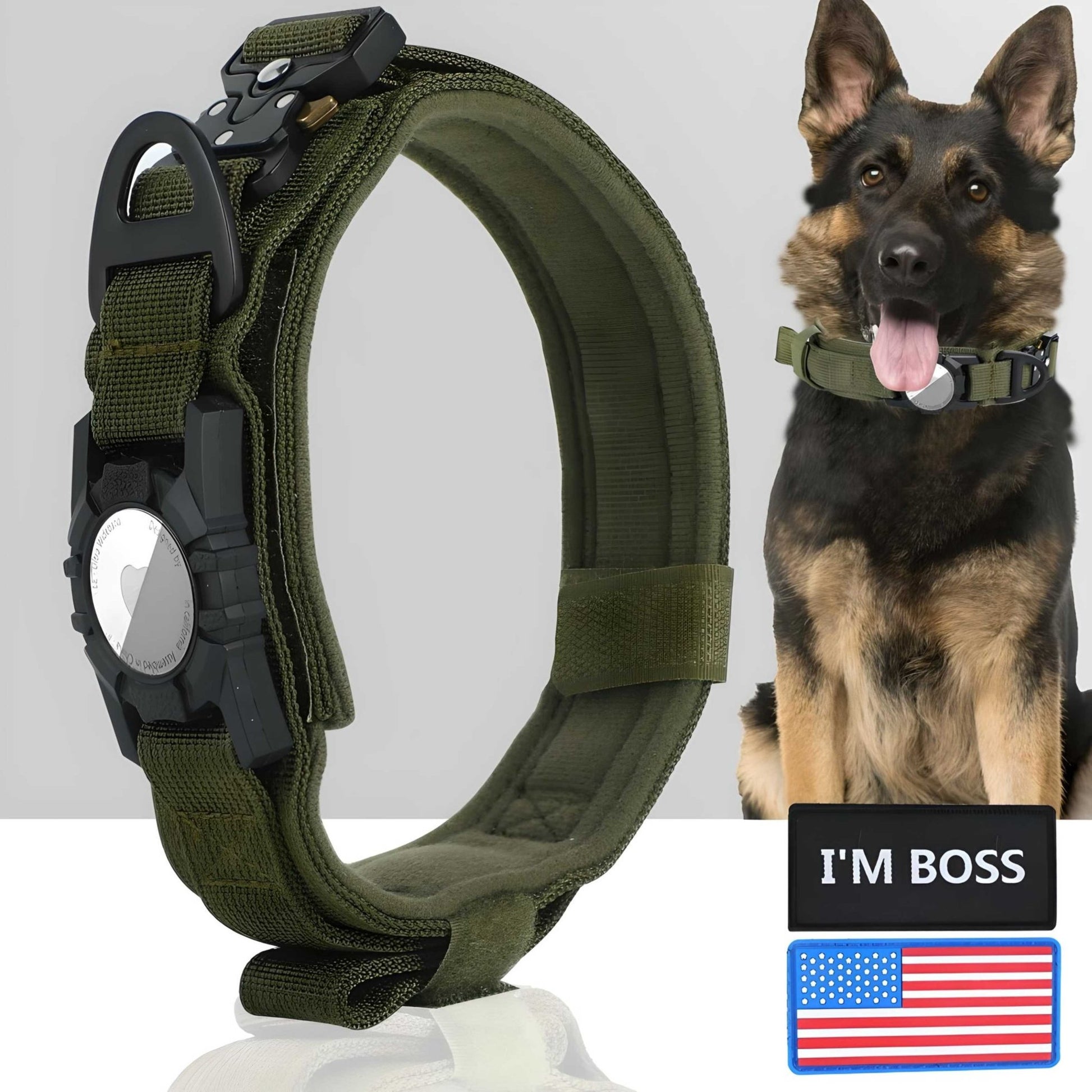 dog collar airtag holder green